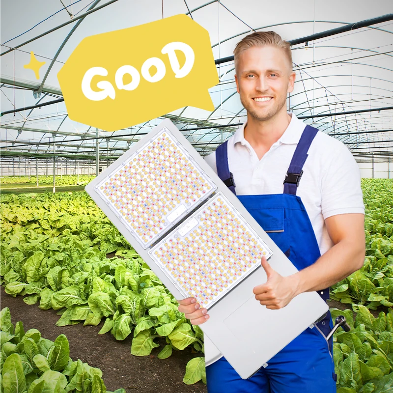 LONGSUN Patented Full Spectrum Led Top Lighting  800W 800Watt with White Color Blue and Red Color Wavelength  Top Bin LED Chips