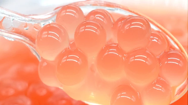 Machines for Small Businesses Popping Boba Making Machine Bubble Tea Pearls Depositing Production Line