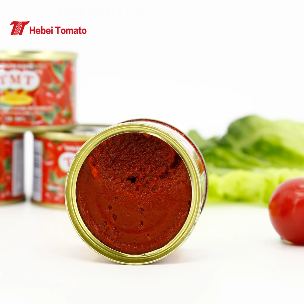 Tomato Paste China Factory Tomato Paste 70g*50tins Can Tomato Paste