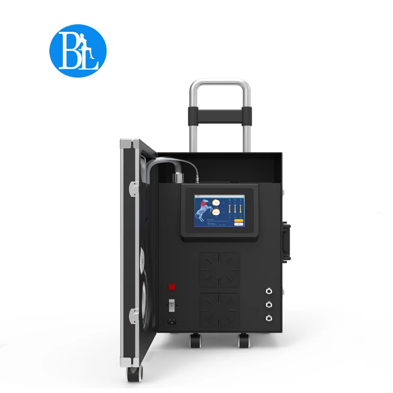 Physio magneto PM-ST wave vet horse equine physiotherapy device