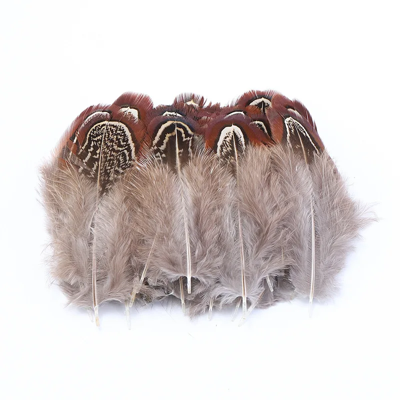 Natural Feathers Assorted Mixed Feathers for Jewelry and Dream Catcher Crafts