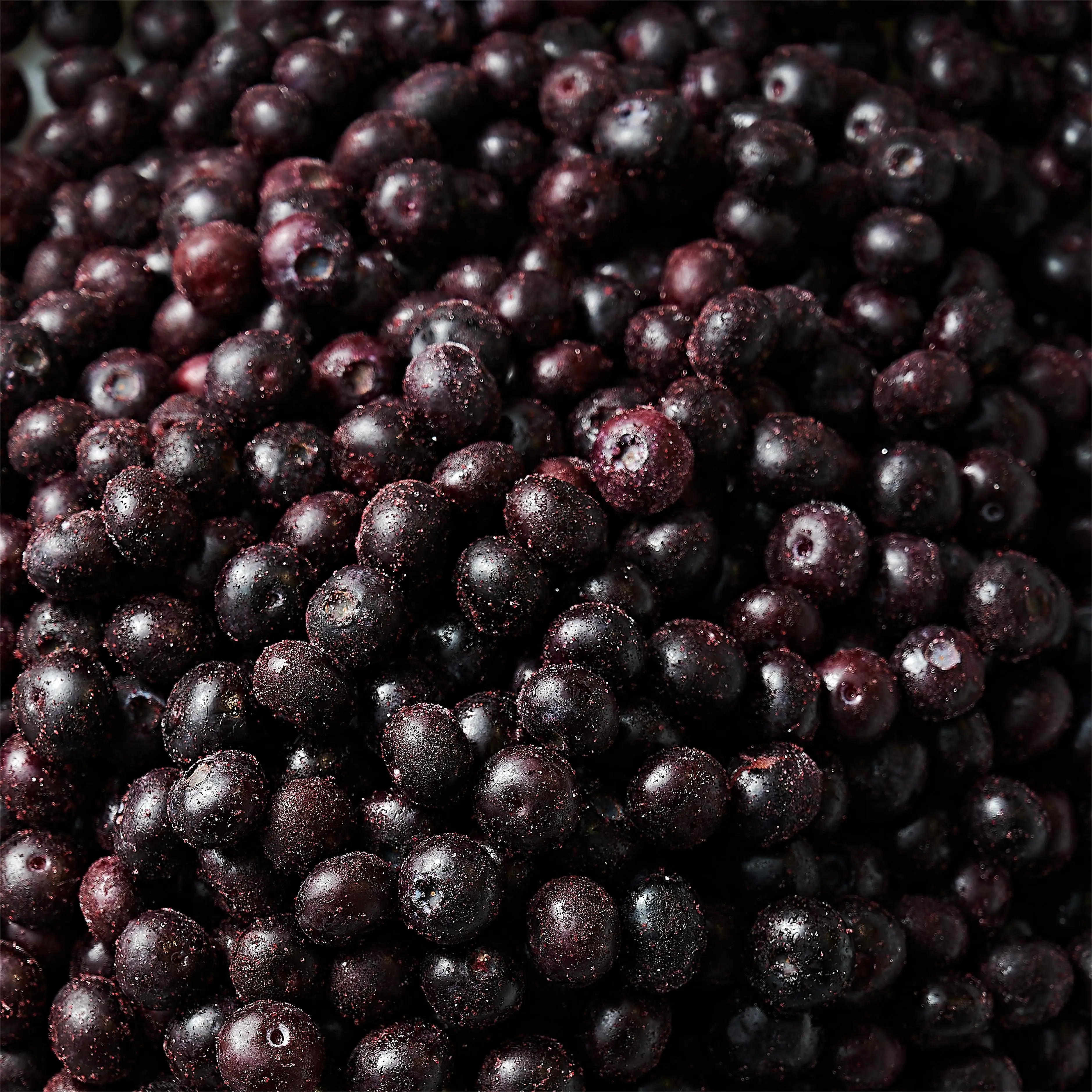 IQF factory direct export frozen blueberry wholesale frozen blueberry Wholesale Price 1kg Frozen Blueberry with BRC A