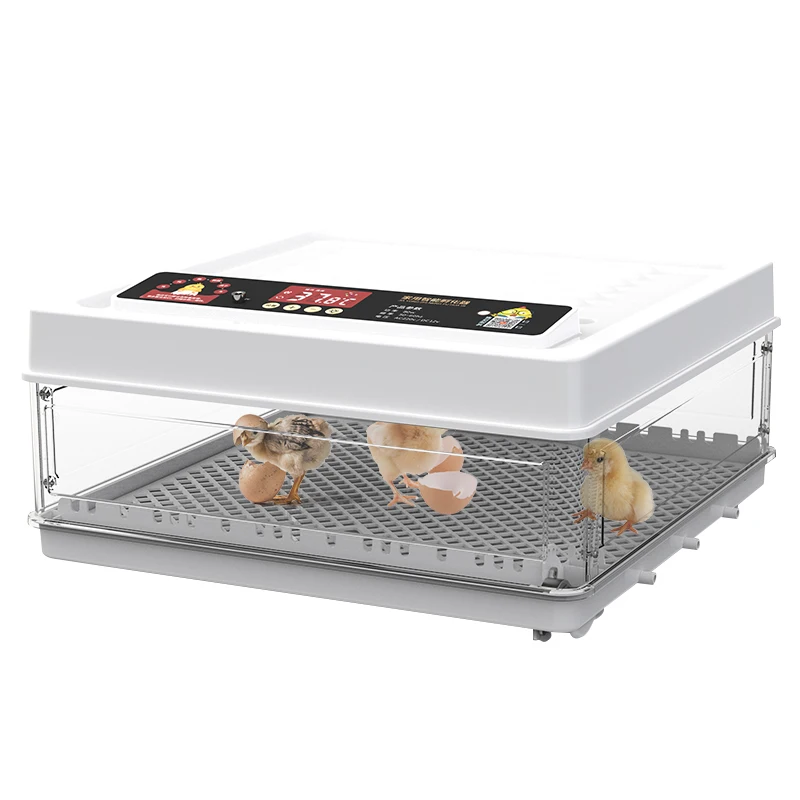 30 Capacity Automatic Water Supply Egg Incubator Egg Hatching Machine