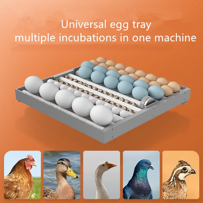 Brand new  300 eggs automatic chicken egg incubator