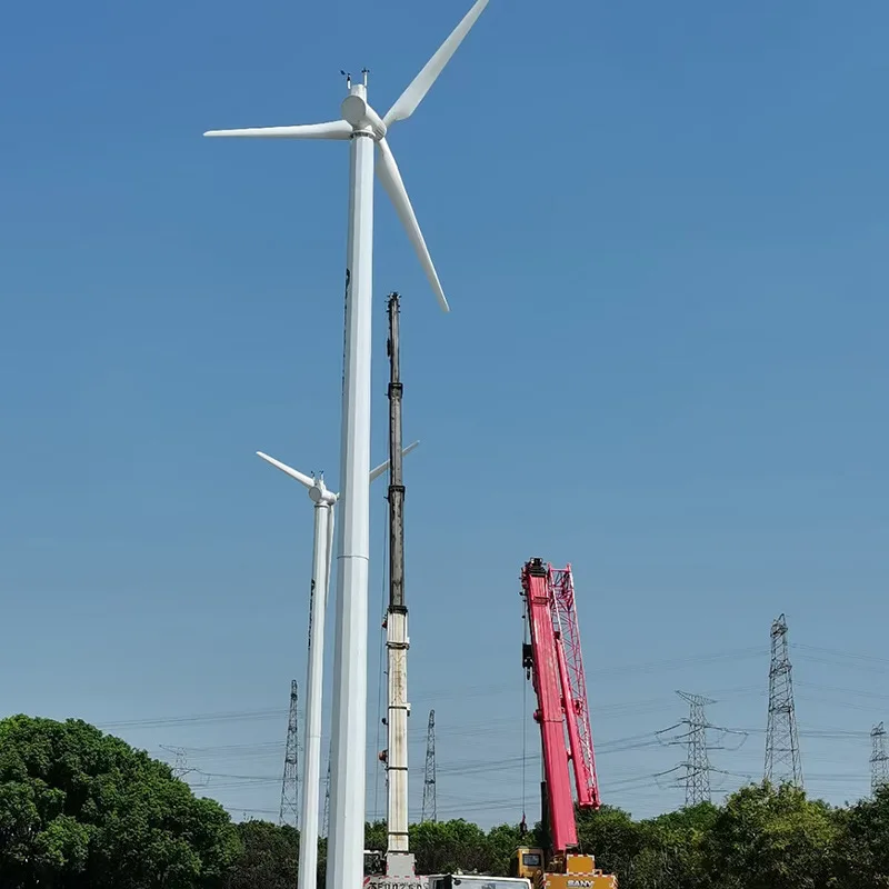 Ветровая турбина с горизонтальной осью небольшая ветряная TL-DL-30KW Ветряная и солнечная дополнительная уличная лампа