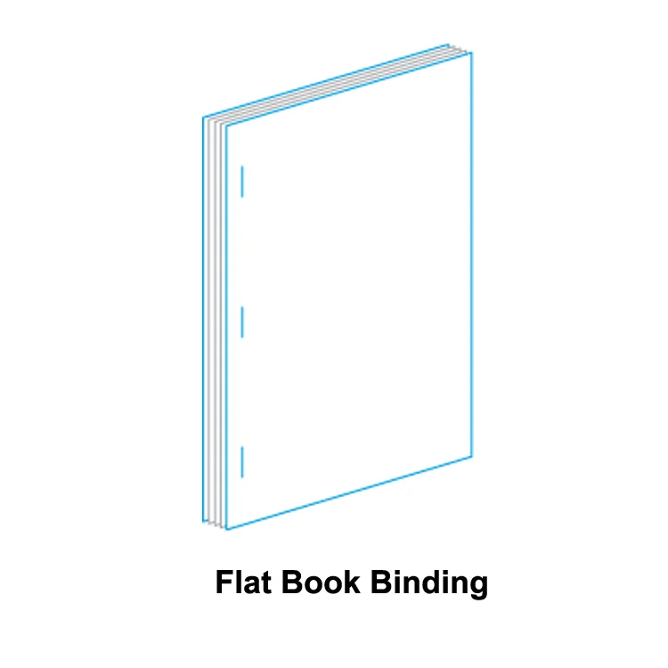 TD202 Double Heads Flat and Saddle Wire Stitching Machine For Sale