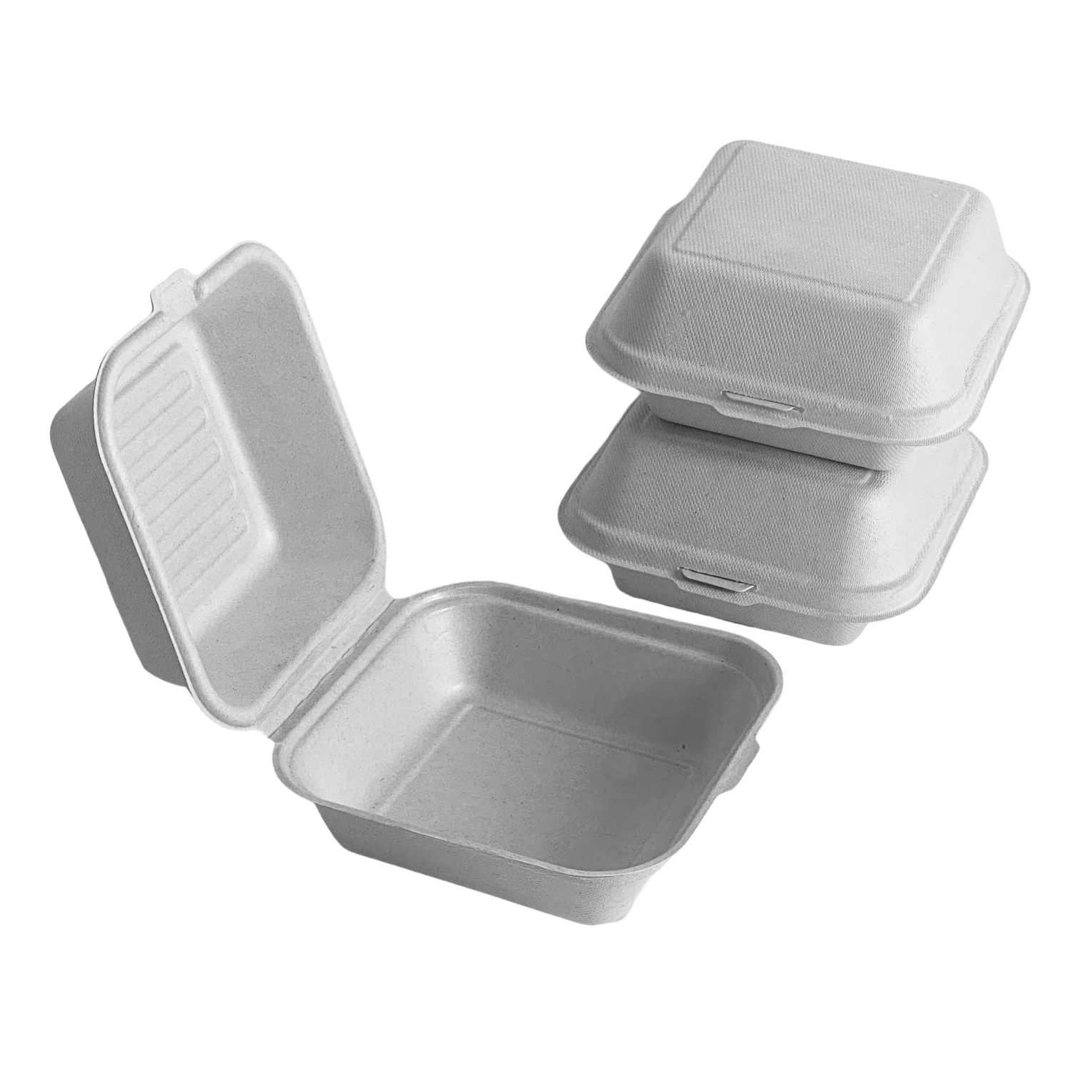 Compostable Bagasse Clamshell Containers Take Away Food Container