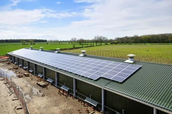 Cheap Steel Industrial Automatic Broiler Poultry Farm Chicken House for 10000 Chickens