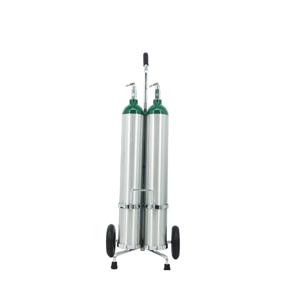 Transportable oxygen kit E Size medical oxygen tank on cart with regulator CGA 870 for patient at home Oxygen therapy equipment