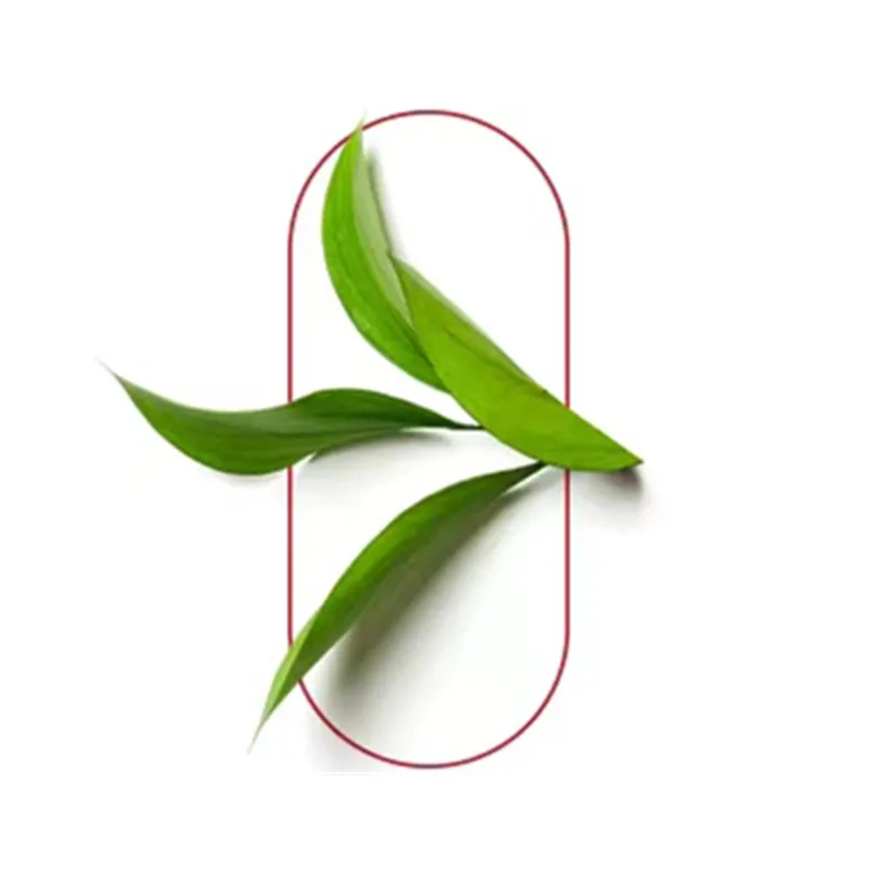 OEM day time fat burner slimming pills supplement 60 capsules