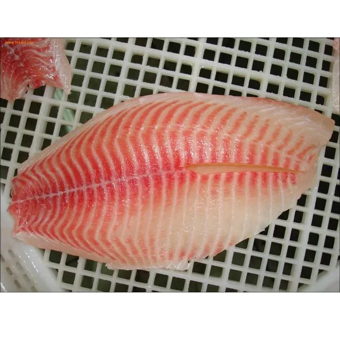  Best Tilapia fish farming