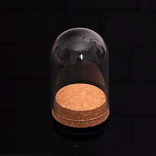 Wholesale hand made borosilicate decorative mini glass dome 18mm glass dome with cork