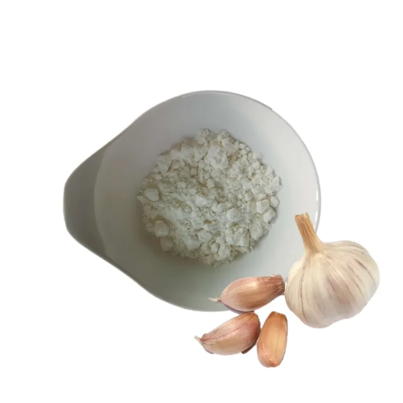 Wholesale Garlic extract Powder  Garlic  seasoning Powder