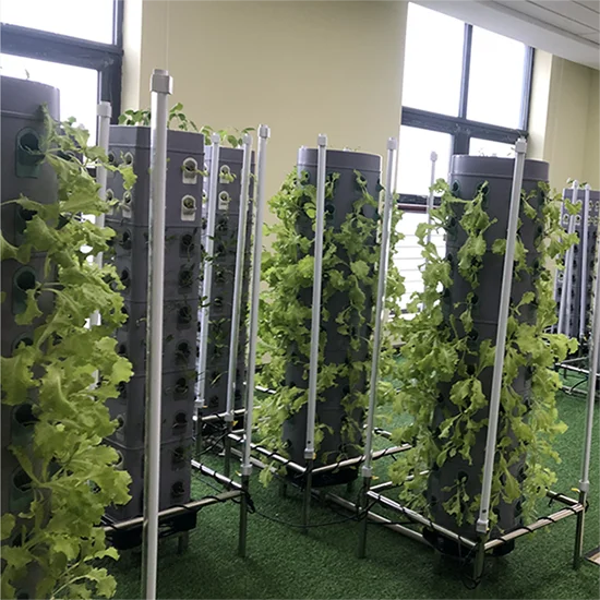 Greenhouse hydroponic grow cubes for clones starting hemp seeds green wall growing medium