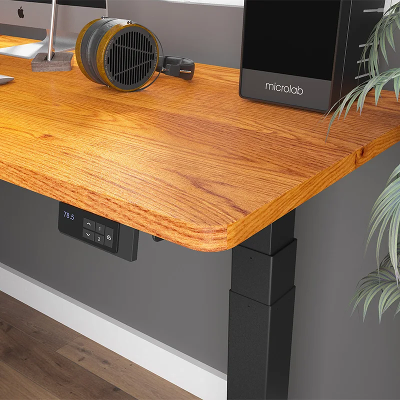 Home Office Dual Motor Height Adjustable Desk Legs Ergonomic Electric Mechanism Lifting Sit Stand Desk