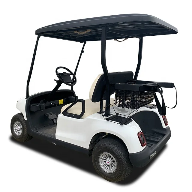 2021 newest hot sale cheap 2 seats gas powered golf buggy carts price