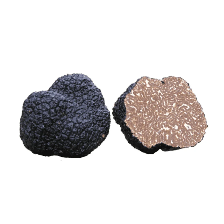 Made in Italy seasoned cultivated fungus boletus edulis sell black fresh truffle mushroom price