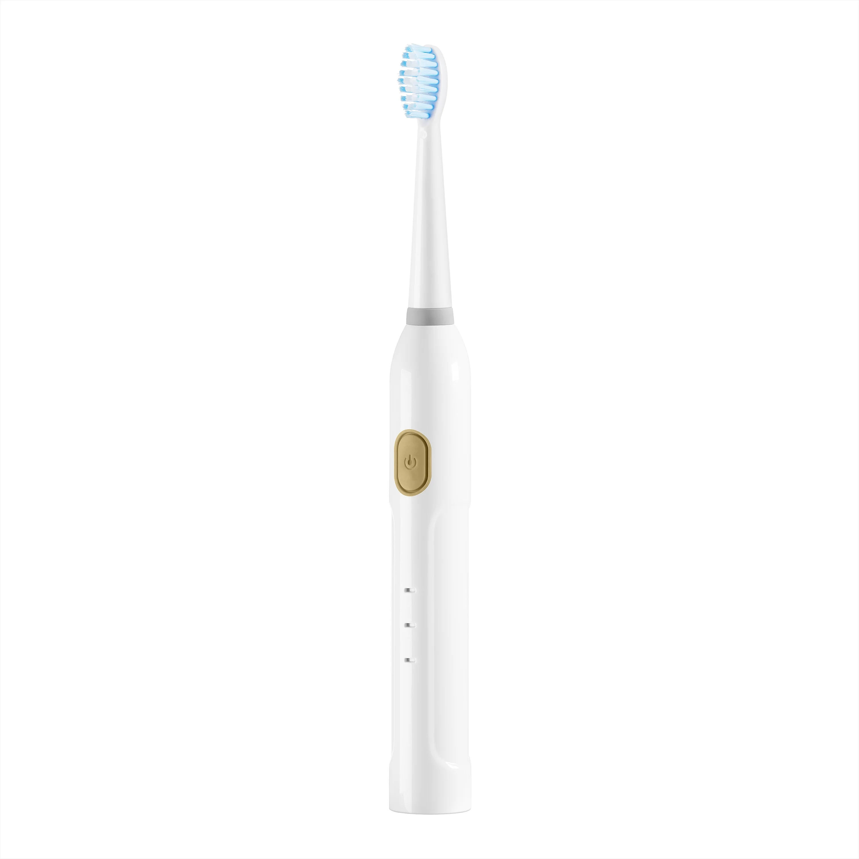 
PT19 Free Sample 10 Years Oral Care Factory USB Rechargeable Powered Vibrate Automatic Sonic Electric Toothbrush 