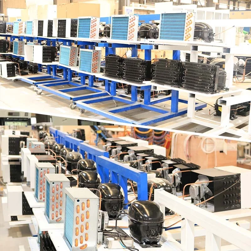 BIOBASE -40 degrees 450L freezer laboratory refrigerator For vaccines blood products medications and other biological samples