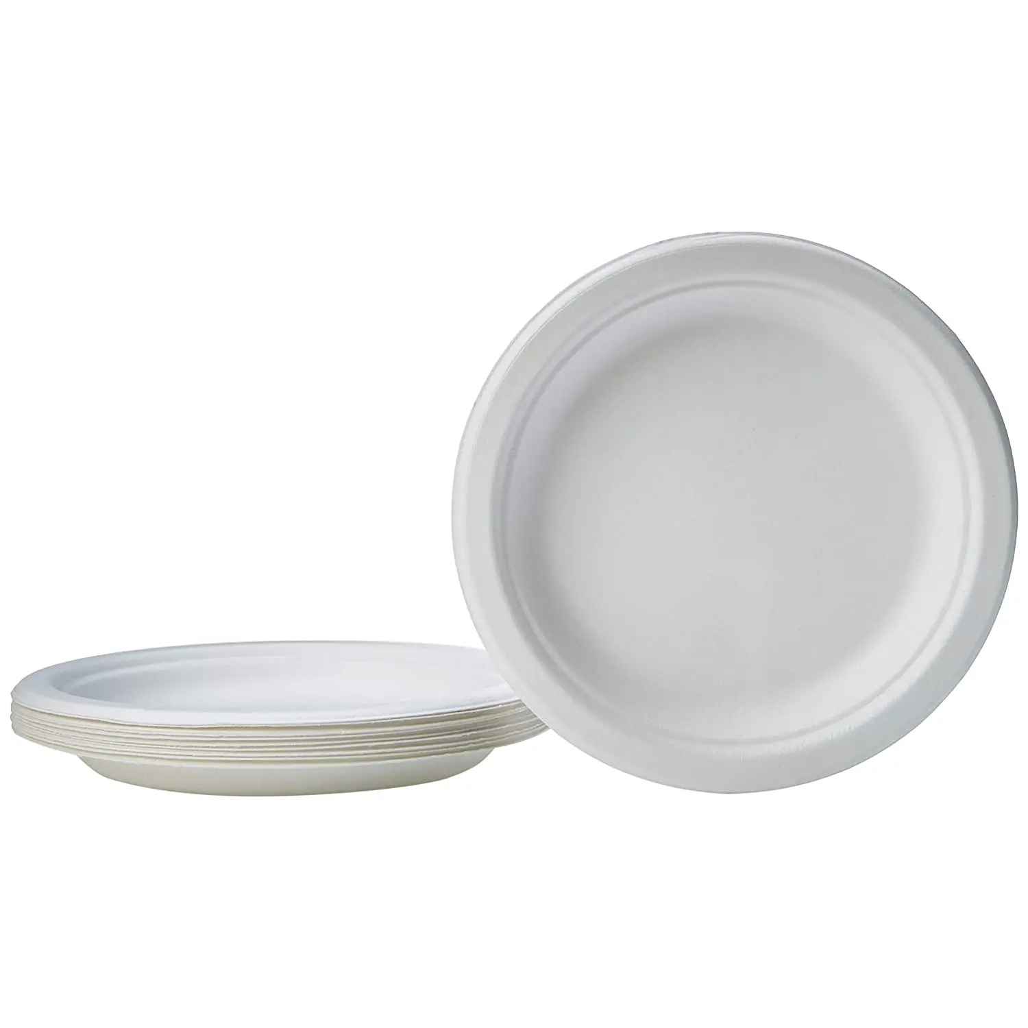 Прямая продажа с завода, одноразовые тарелки, 10 дюймов, биоразлагаемые тарелки, тарелки из сахарного тростника