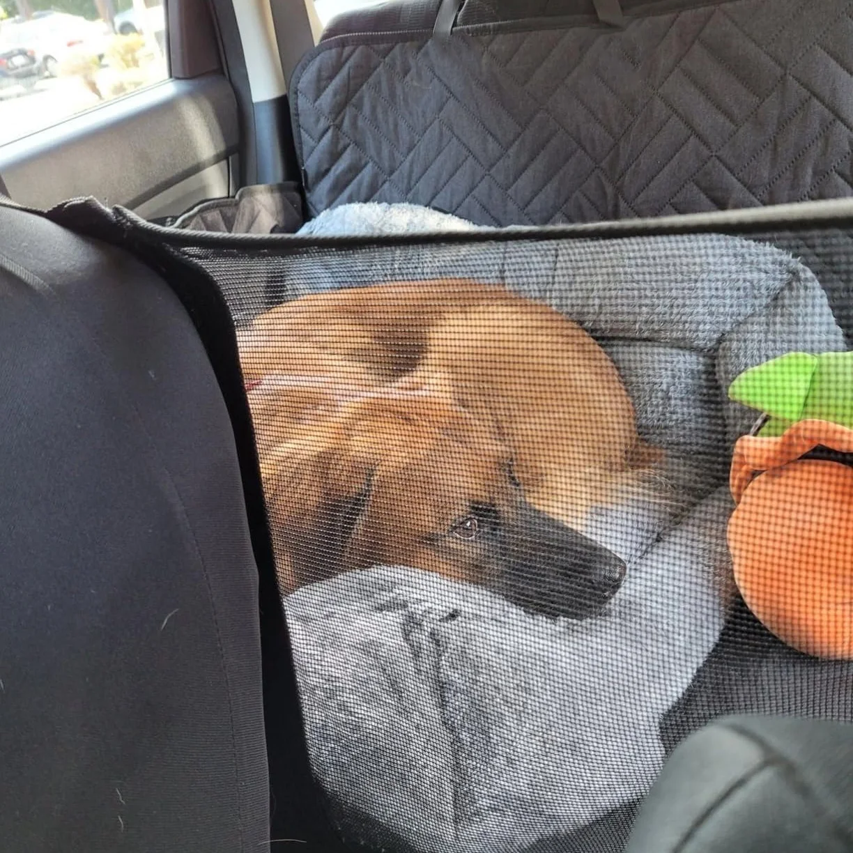 Mesh Window And Storage Pocket Full-Size Trucks Suv Pet Car Seat Covers Backseat Bus Hammock For Cargo Area