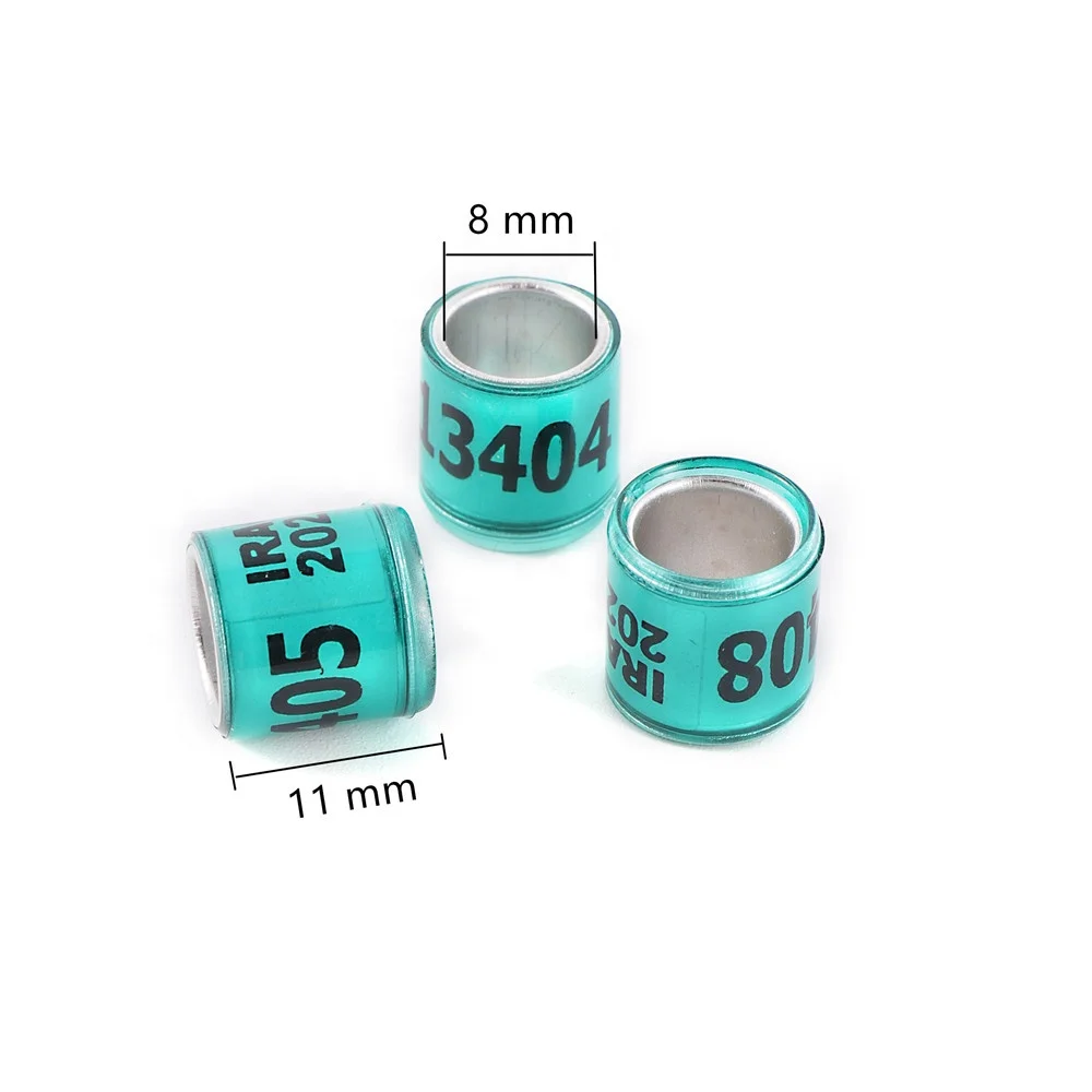 Pigeon Foot Rings 2024/2025 Multi-color Bird Leg Ring With Word Earrings