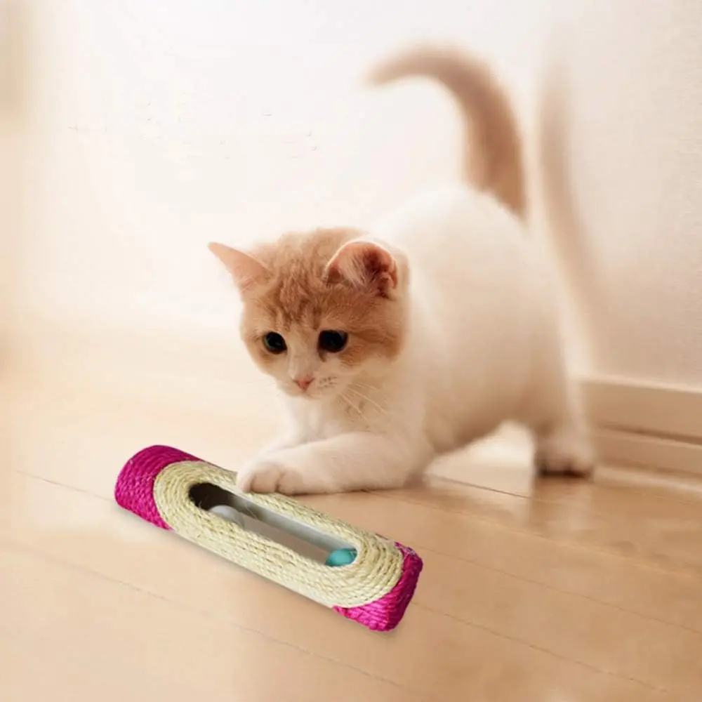 Котенок для кошки