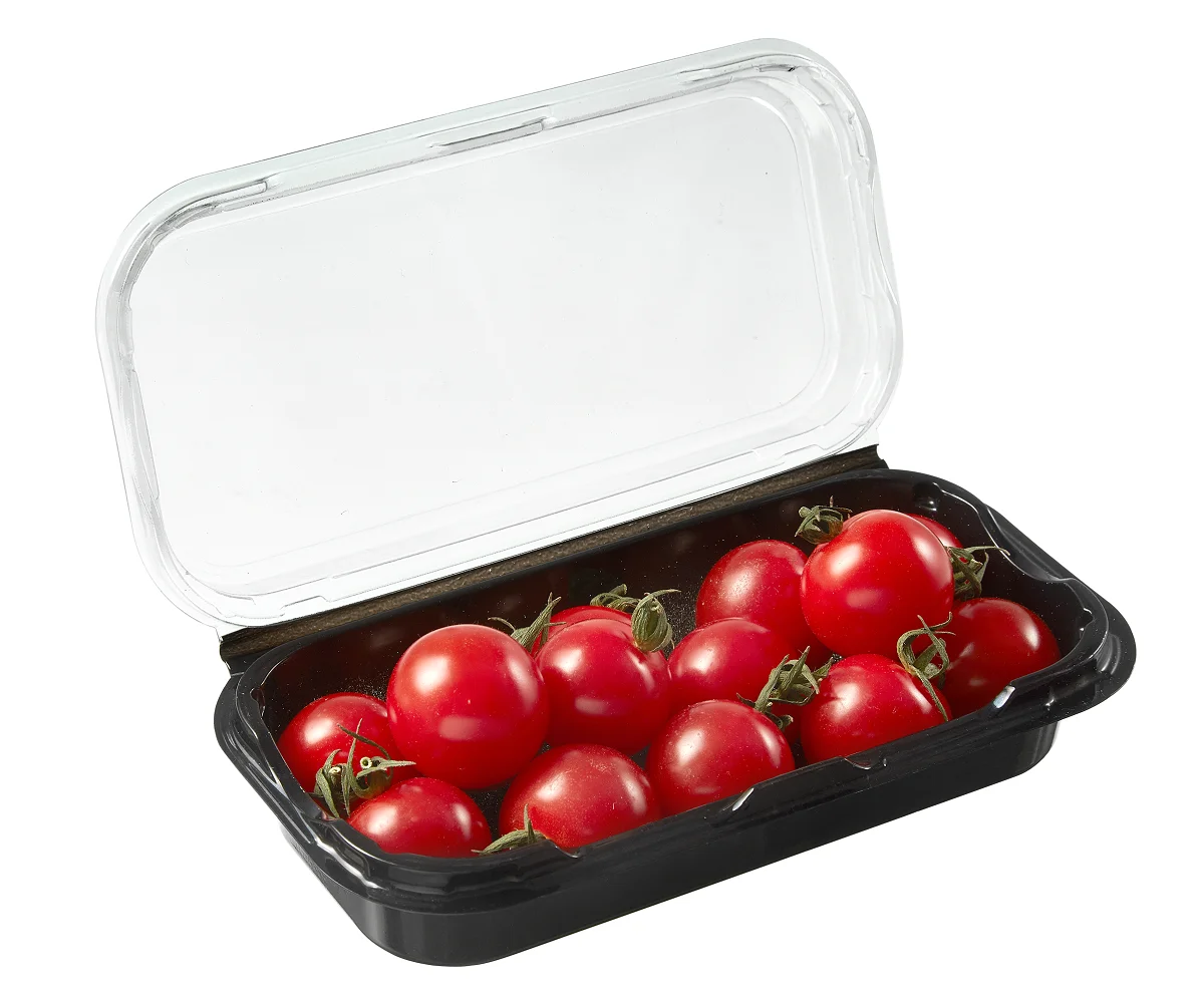 Disposable hinged clamshell transparent lid and black box two blister colors food container virgin PET packaging box