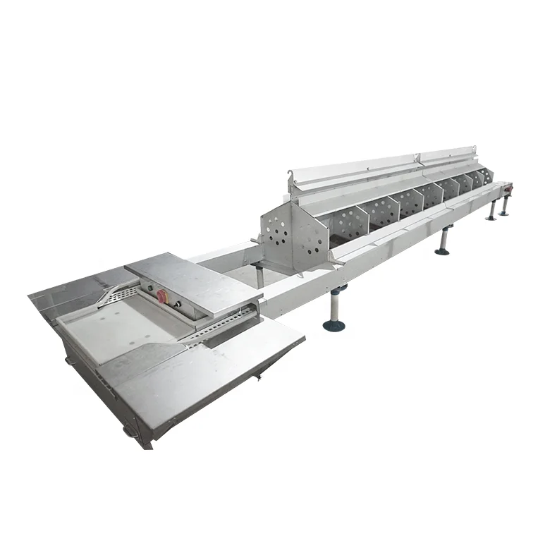 Farm Equipment Poultry House Design Broiler Chicken Feeding/Drinking/Fan System