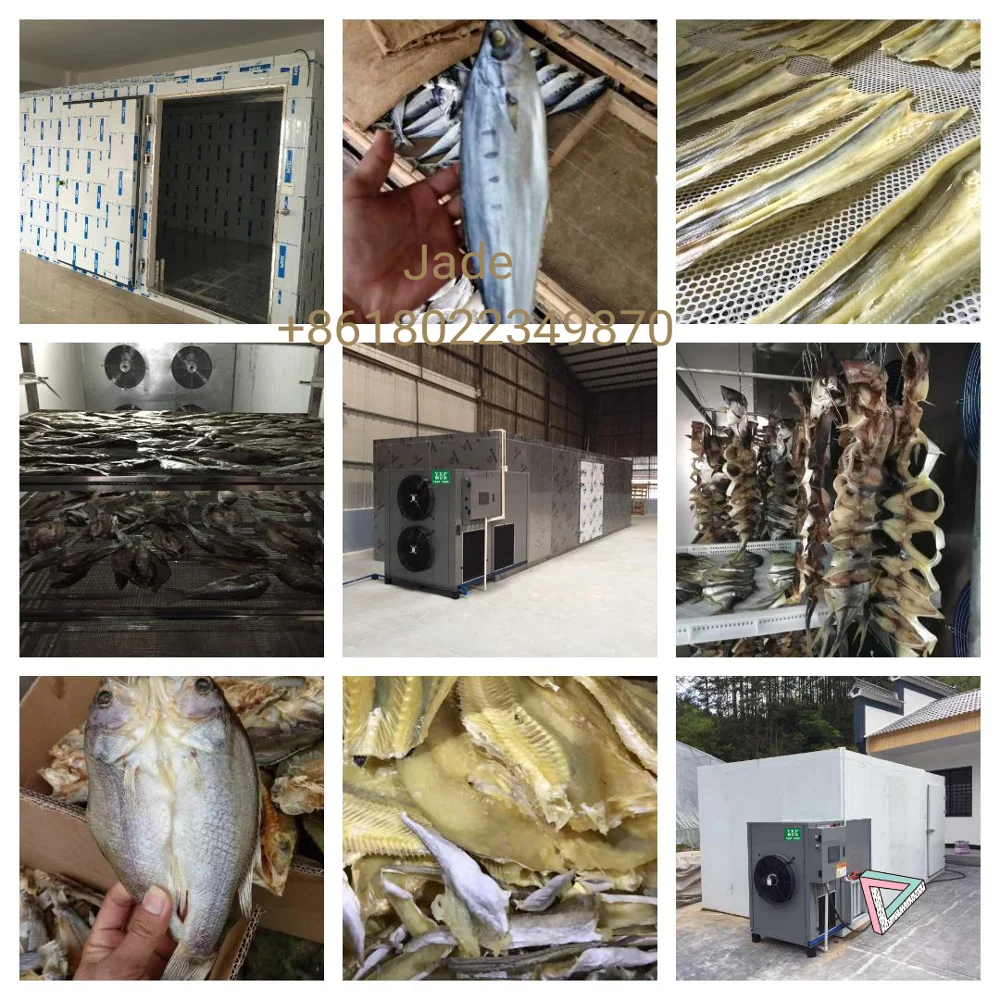 Temperature control dryer ham drying equipment pork dehydrator oven
