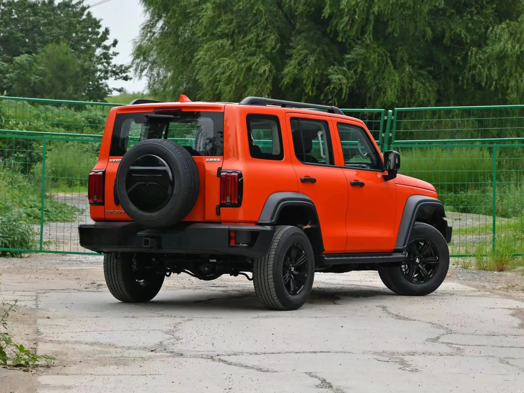 2024 Great Wall Tank 300 2.0T Crosser Compact SUV Petrol car  +48V light blend system