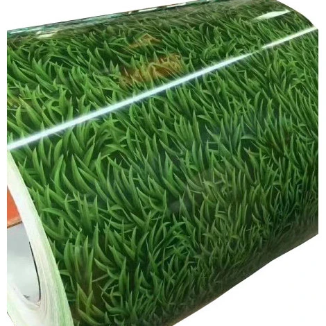 Factory 0.25mm thickness cold rolled galvanized steel coil design ppgi ppgl steel coil