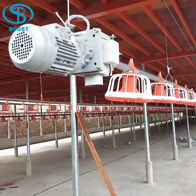 Customized Plan Nipple Drinking line Poultry Feeding Line Chicken house Breeding Equipment for Broiler chicken