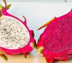 
Hot Product fresh dragon fruit Vietnam wholesales Price Dragon Fruit Price in Bulk dragon fruit vietnam 