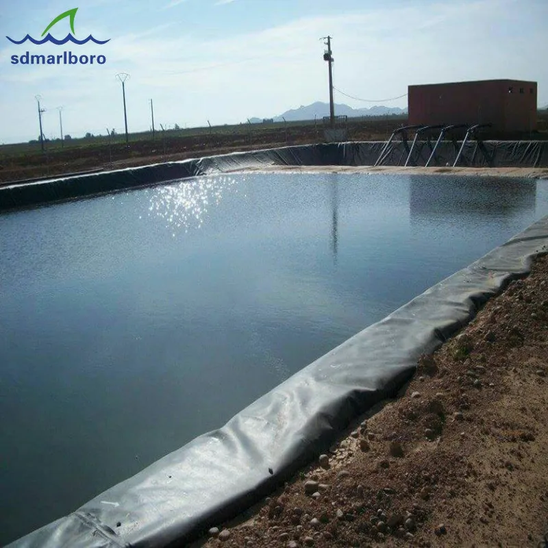 for pond is impermeable and corrosion resistant with HDPE 1.0mm geomembrage