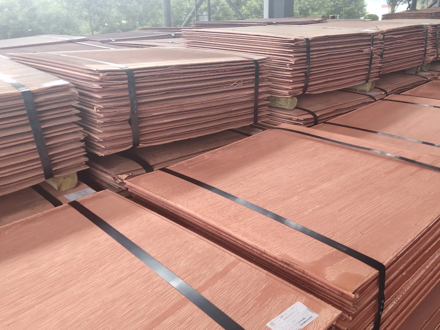 Copper Cathode Pure 99.99% Factory Price