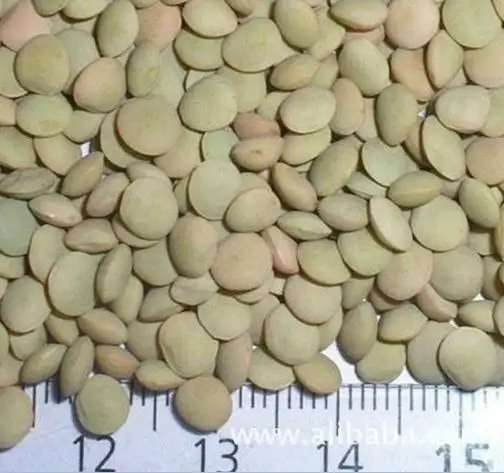 
Crop2020 price of Chinese Lentils 