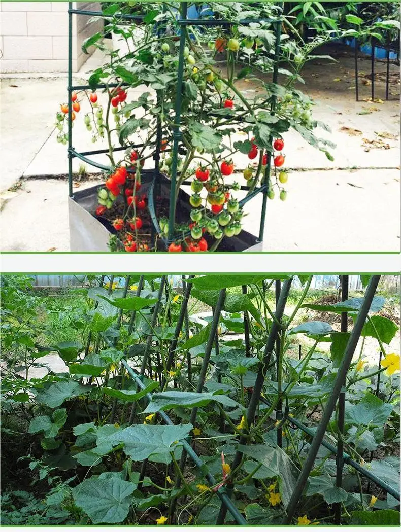 Green Plastic Plant Stakes Garden Support Fiberglass Rods for Plants and Trees