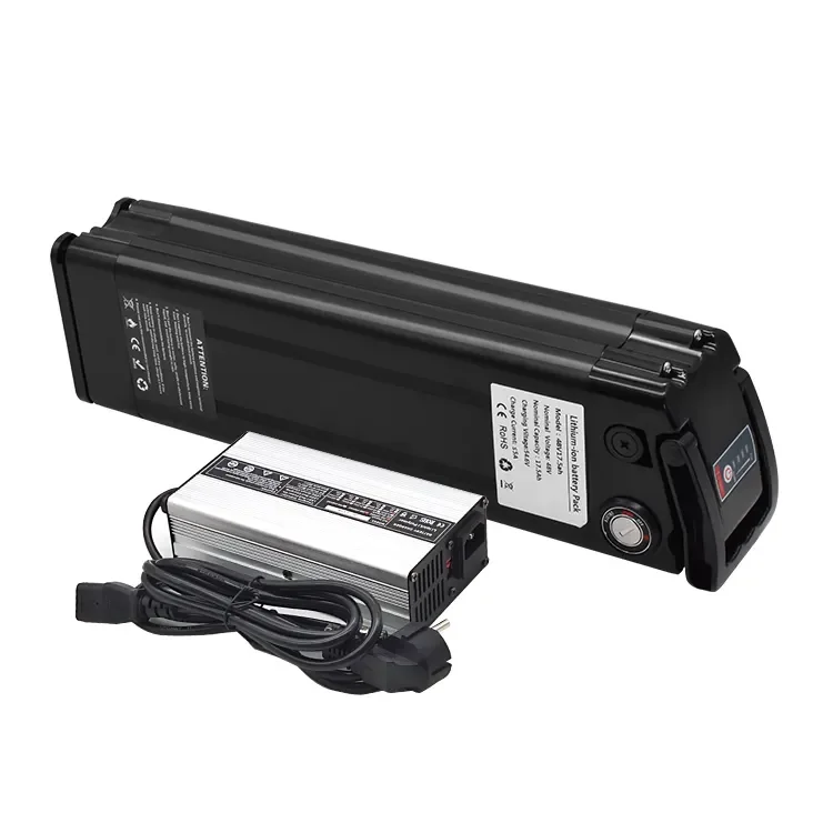 Hot Sale Sliver Fish Lithium Battery Pack Electric Bicycle 48V 15Ah 20Ah 25Ah 1000W Ebike Battery Batteries For electric bicycle