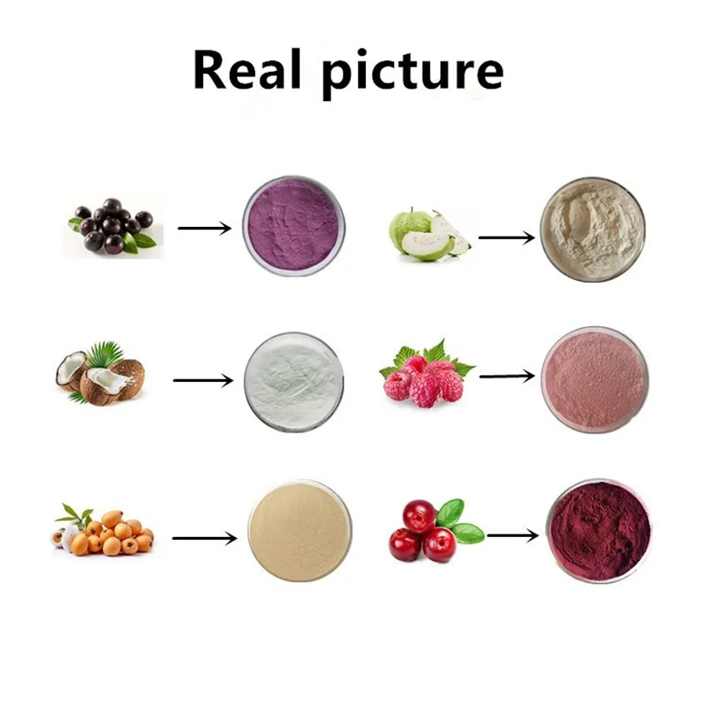 Manufacturers hot selling natural spinach fruit powder spinach  fruit juice powder
