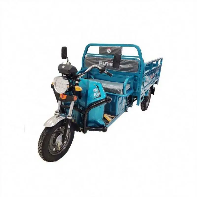 1000W wholesaler adults Multi-functional convenience tricycle electric bike electric cargo tricycle Triciclo Electrico