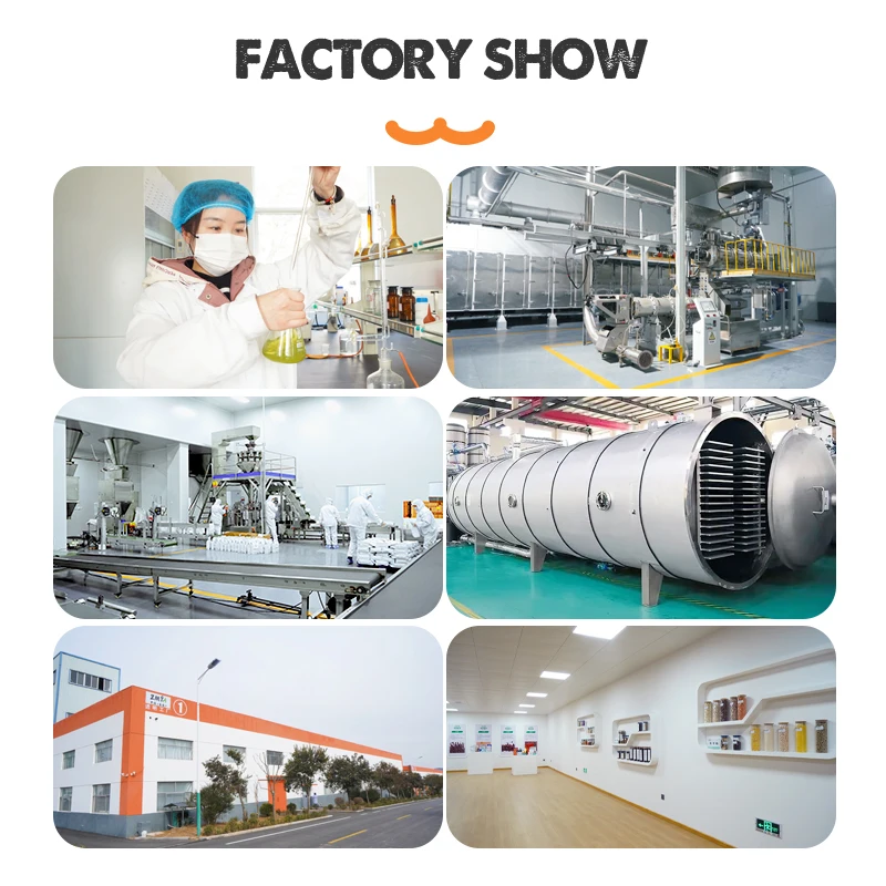 BSCI Cat Food Wholesale Direct Sales Price Premium Palatability Fish Meat Training Pet Snacks Dog Treats