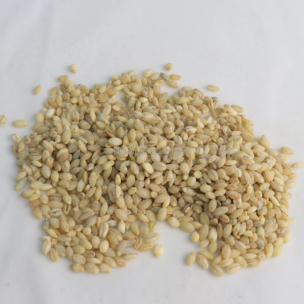 Wholesale Low Fat High Protein Qinghai Origin Qingke Hordeum Vulgare Highland Barley Green Barley Grain