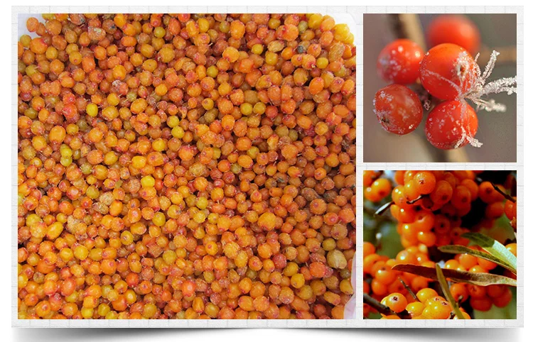 2024 New crop Shelf-stable Frozen fruits IQF berries frozen sea buckthorn origin China
