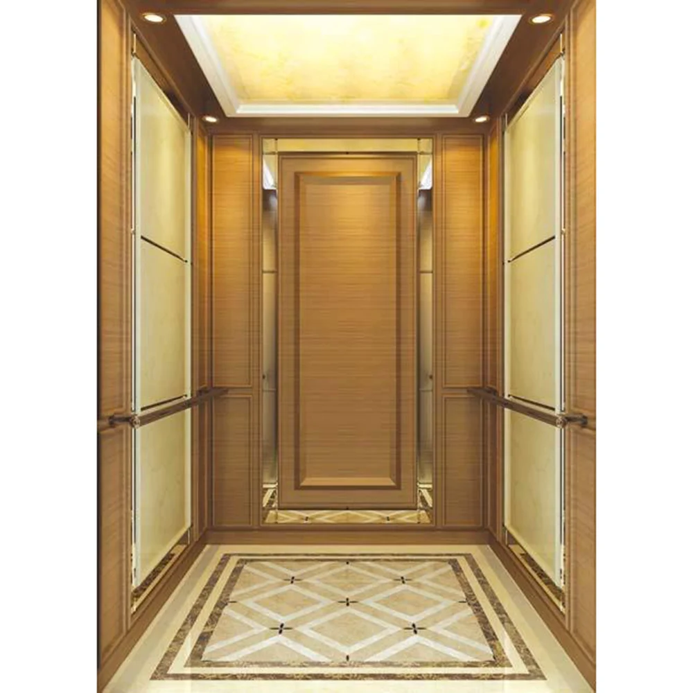 Hydraulic Passengers Elevator Business Style Building Office Passenger Elevator