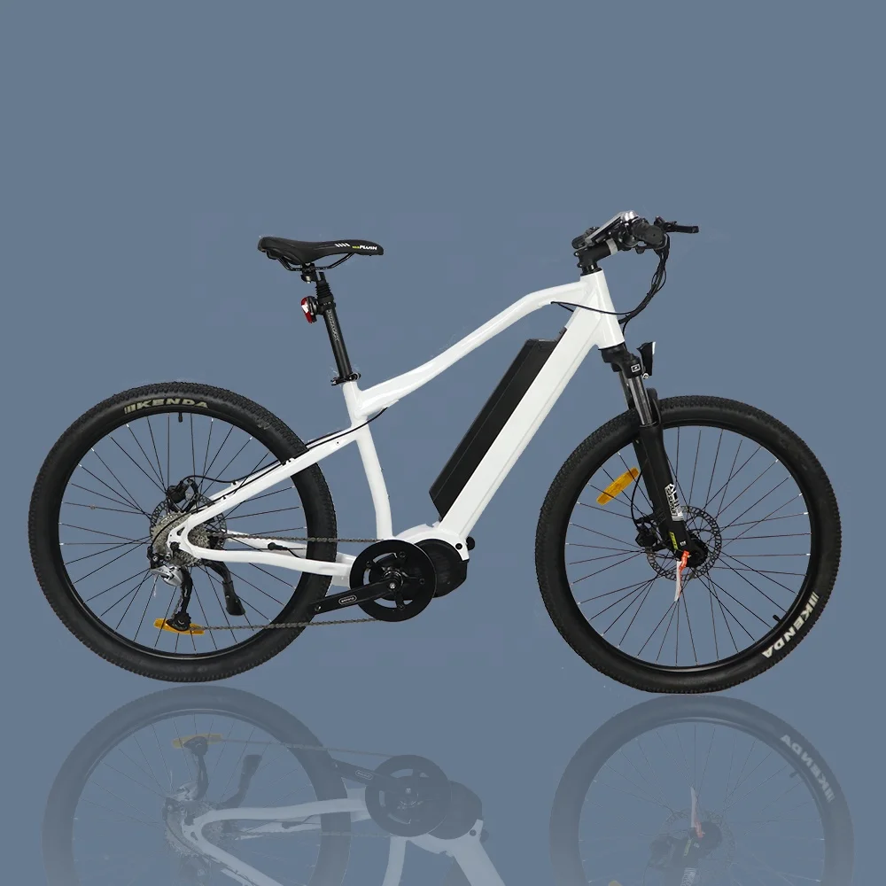 Powerful E Bike 48V 1000W Bafang Ultra Mid Motor Drive Mountain Electric Bike For Off Road Usage