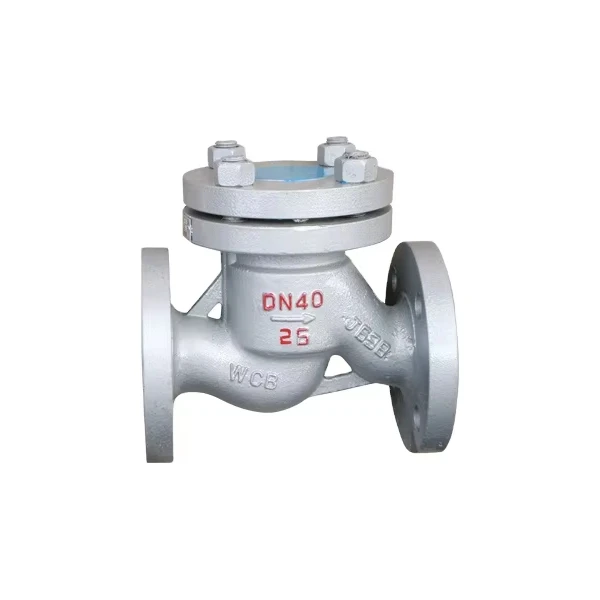 Check Valve