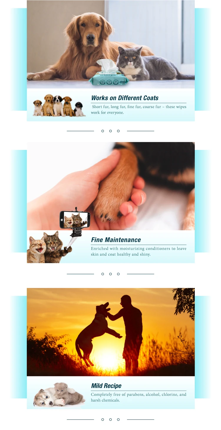 pet-wipes-4.jpg