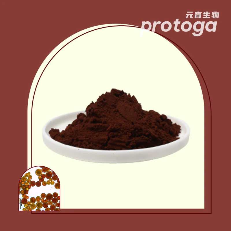 Protoga Best Sale China Supplier 6% l Haematococcus Pluvialis