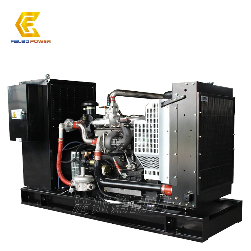  Заводская цена 100kva/80kw генератор биогаза Набор Сделано в